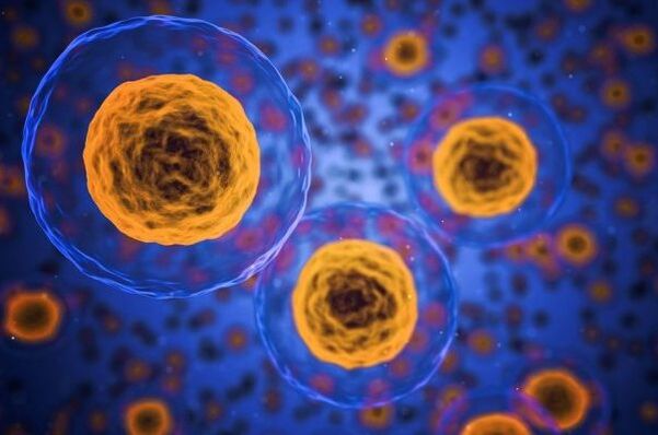 Wie läuft der Abnehmprozess ab